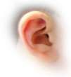 Ear problems section