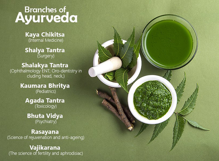 Ayurveda Branches